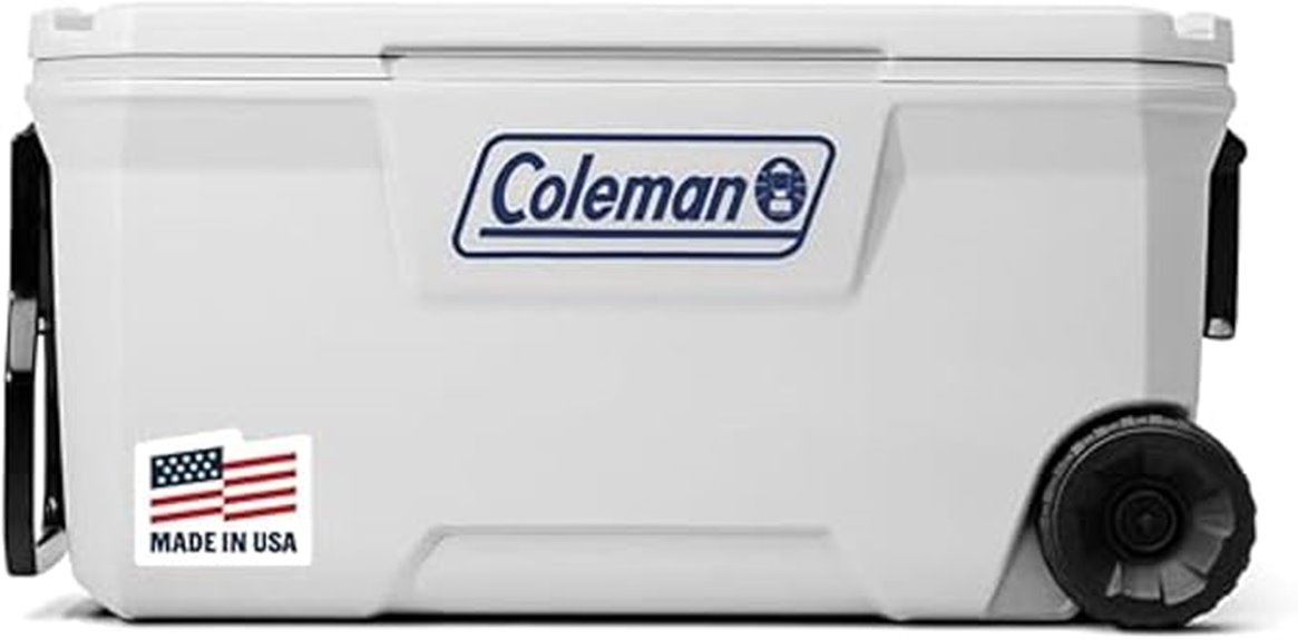 insulated cooler with lid