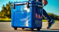 portable compact cooler options