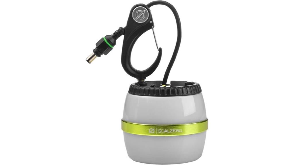 portable led lighting system