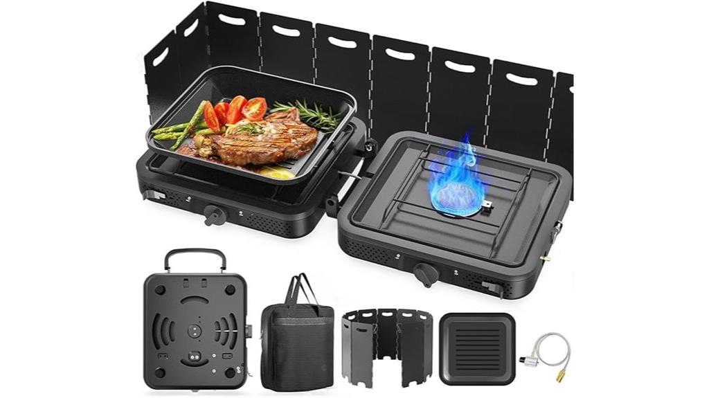 portable two burner propane stove
