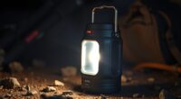 top ecoflow emergency lanterns