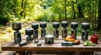 top ecoflow outdoor stoves