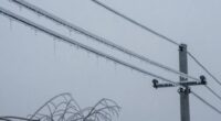ice damage varies significantly